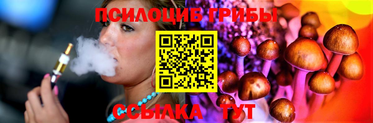 Галлюциногенные грибы мицелий  Псилоцибиновые грибы прущие грибы  Москва  Вход с VPN 